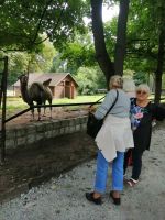 Miniatura zdjęcia: Zwiedzanie Zoo i Muzeum Wikliniarstwa i Chmielarstwa w Nowym Tomyślu